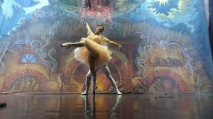 Па-де-де "Спящая красавица" 3 акт - балерина Маргарита Андреева