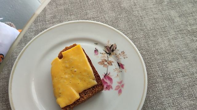 ДОЛГОЖДАННЫЙ ВЛОГ С БАСИКАМИ/ Семейка басиков