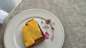 ДОЛГОЖДАННЫЙ ВЛОГ С БАСИКАМИ/ Семейка басиков