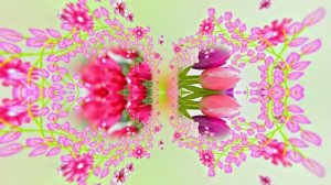 Весна! Очаровательные тюльпаны 3! Киностудия Мудрого Кота Тимофея!