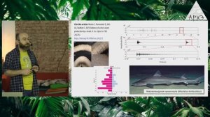 Павел Квартальнов: Итоги 2025 года в зоологии позвоночных