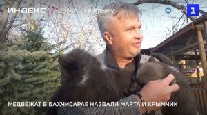 Медвежат в Бахчисарае назвали Марта и Крымчик