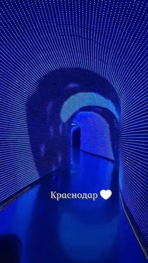 Интерактивный тоннель