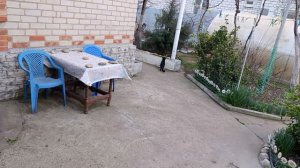 Мы вышли погулять