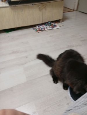 вот будет играть задавайте вопросы