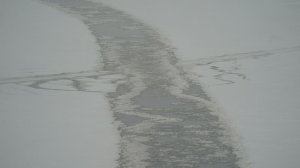 «Последний улов»: несмотря на запрет и трагедии, петербуржцы выходят на тонкий лёд ради рыбалки