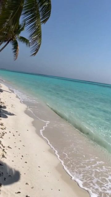 #залипательныйконтент  #контент #тренды #вдохновение #забавно