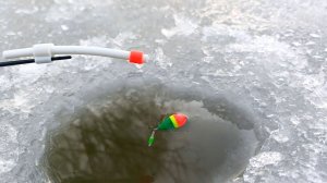 ПОПЛАВОЧНАЯ РЫБАЛКА И ПРИЯТНЫЕ ВОСПОМИНАНИЯ