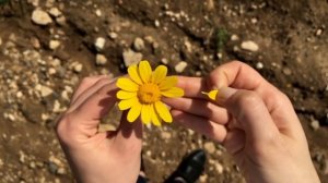 «А весна на пороге» Христианское караоке🎼