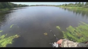 РЫБАЛКА В ЧЕРНОБЫЛЕ