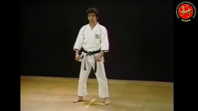 18 - Ката Текки Сандан (Tekki Sandan) Шотокан Каратэ