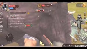 Я вибил мистик и выбил скин на волка wild club