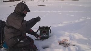 Нарвались на стаю по закосиной! Бешеный клёв на безмотылку. Вот это рыбалка!