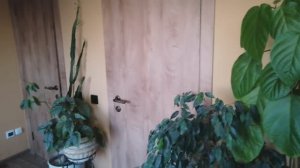 Работаю в зимнем саду! Весна настоящая! 🪴🌵🏋️