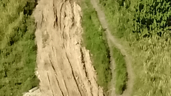 морской капусту которую я пробовал но я её ещё долго не ела