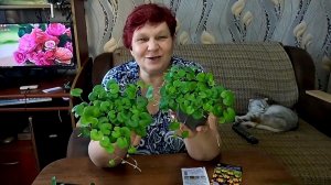 Красота - спасёт мир!! Продолжаем посев цветов для нашего сада!!