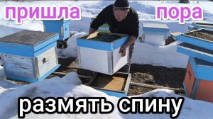 Помощь пчёлам после зимовки продолжается. Пчеловодство Владимирской области.