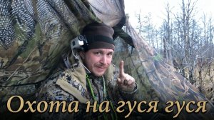 Сделал мини скрадок | Охота на гуся на болотах #39