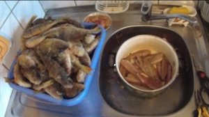 Как почистить окуня