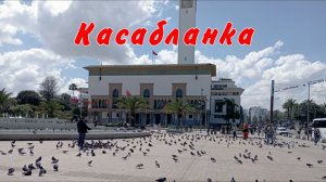 Выпуск 11 Касабланка