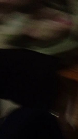 мои коты дома