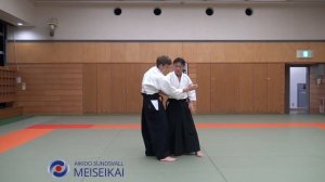 28.Aikido Katadorimenuchi Shihonage Shishiya Sensei Tokyo 2015