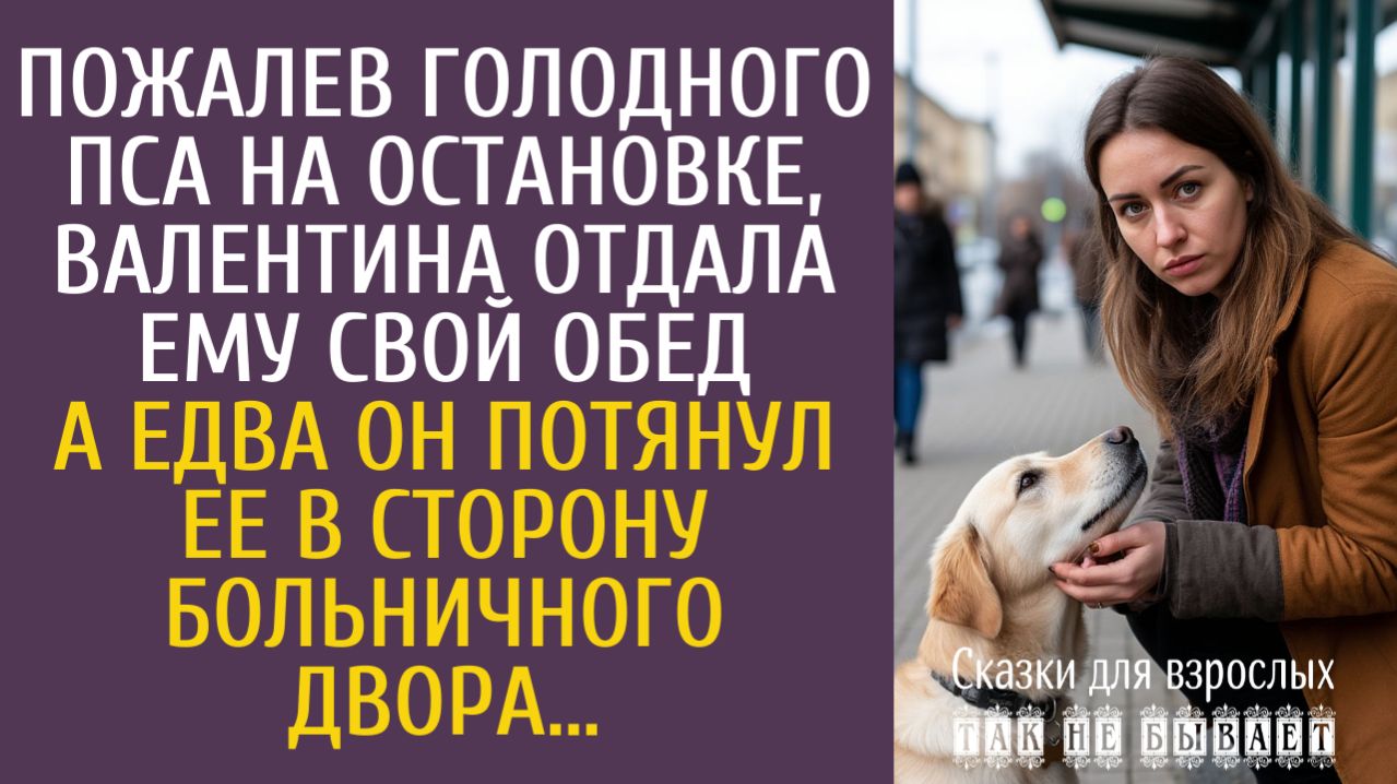 Истории из жизни Пожалев голодного пса на остановке, Валя отдала ему свой обед… А едва он потащил ее