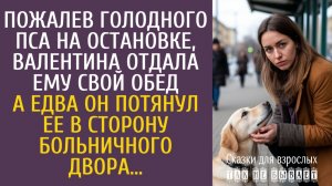 Истории из жизни Пожалев голодного пса на остановке, Валя отдала ему свой обед… А едва он потащил ее