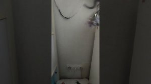 1000037346.mp4
