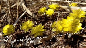 Доброго утра, хорошего дня!