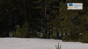 Учет животных в национальном парке