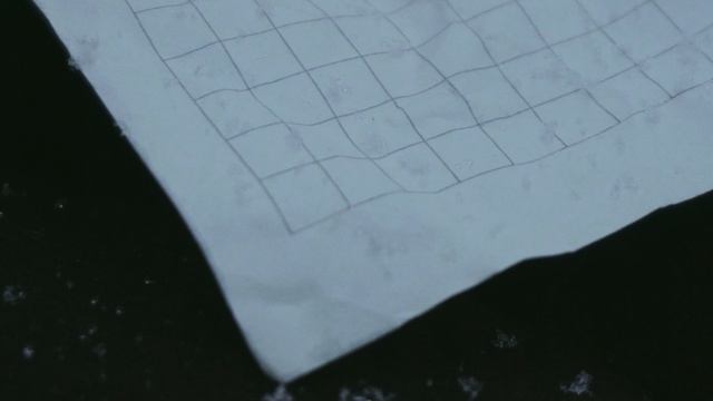 17726131009772 Выгоревшие Буквы