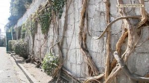 Парк Ливадия - спонтанная прогулка