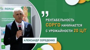 Александр Середенко: «Рентабельность сорго начинается с урожайности 20 ц/га»
