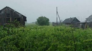 Летний дождь