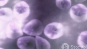 Иммунитет человека - личный терминатор, созданный эволюцией