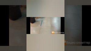 Мой дипфэйк проект прогорел и ничего не заработал