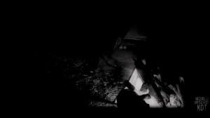 ОНИ НА ДЕРЕВЬЯХ... Страшные истории на ночь..