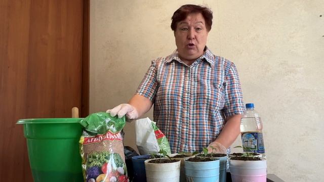 ВАЖНЫЕ МОМЕНТЫ ПРИ ПИКИРОВКЕ ПЕРЦА