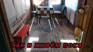 Деревенские дачники. Купили дом в деревне. Обзор дома и участка