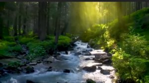 Релакс-видео. Красота природы,пение птиц 🐦 🌿