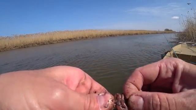 ВОТ ЭТО АСТРАХАНЬ! ПРОСТЕЙШАЯ СНАСТЬ СРАБОТАЛА! Рыбалка в Астрахани. Весна 2025