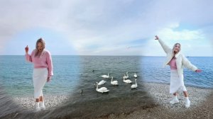 Евпатория. Жена кормит лебедей