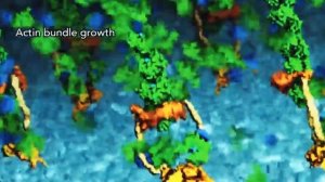 ДНК человека - о чём мы не знали?