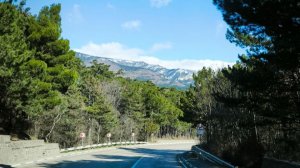 Песенная Медитация 17.03.2026