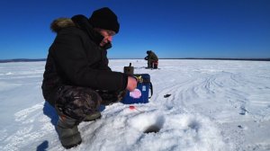 Рыбалка в марте 2026 года на окуня. На что ловить?