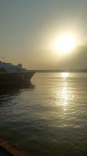 Рассвет 17-03-2026