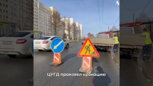 🌳  Зелёная весна во Владимире: продолжаем кронирование деревьев!