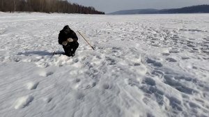 "Может закрытие, а может ещё раз ..."🤔❓😅
Мартовская рыбалка в Пермском крае 2026 
🎣🕳🐠