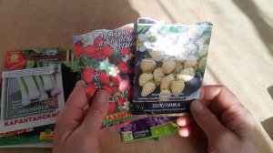 Что сею 15 марта, герань из семян.